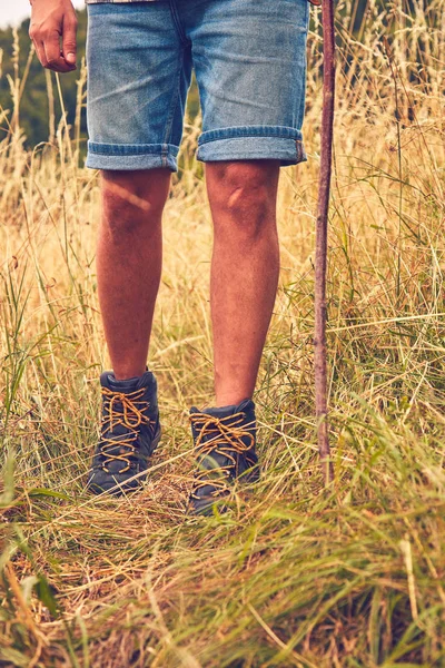 Περιπατητή απολαμβάνοντας ωραία βόλτα σε ένα χωράφι σιταριού/χόρτου στη φύση. — Φωτογραφία Αρχείου