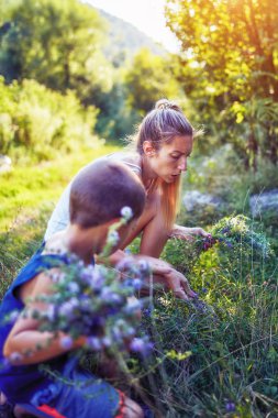 Anne ve oğul doğada çiçek / bitki topluyor..