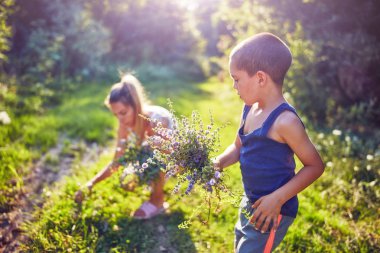 Anne ve oğul doğada çiçek / bitki topluyor..
