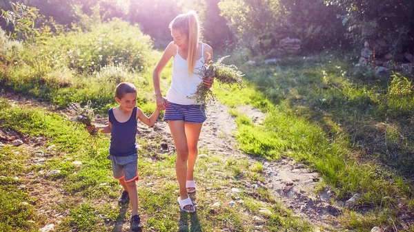 Anya és fia szedés virágok / gyógynövények a természetben. — Stock Fotó