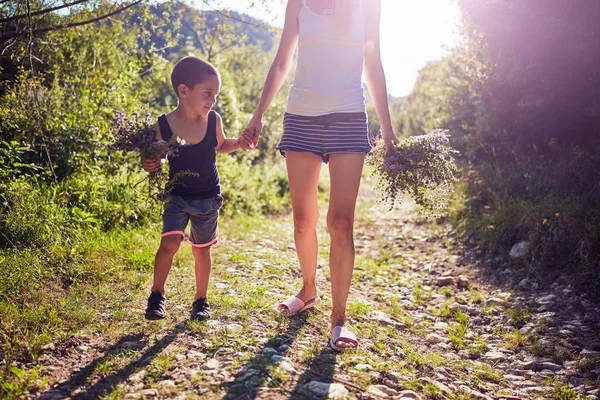 Mutter und Sohn pflücken Blumen / Kräuter in der Natur. — Stockfoto