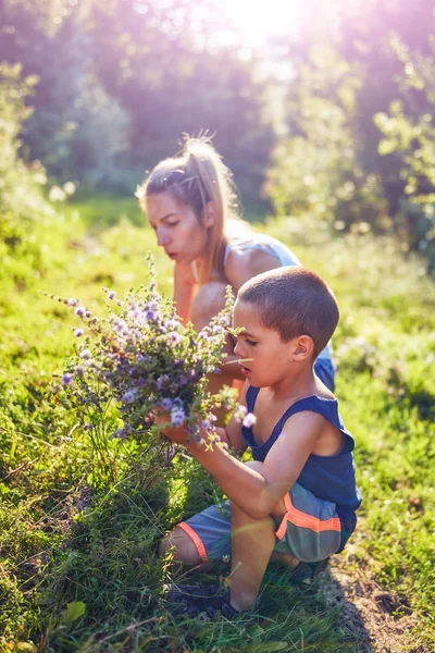 Moeder en zoon plukken bloemen / kruiden in de natuur. — Stockfoto