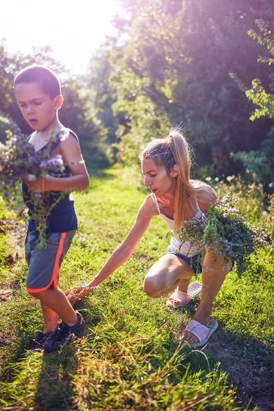 Mother and son picking flowers / herbs in nature. — Stock Photo, Image