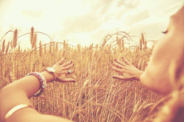 Hands of young woman in a wheat field. — Stock Photo, Image