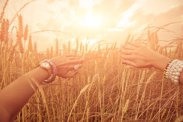 Hands of young woman in a wheat field. — Stock Photo, Image