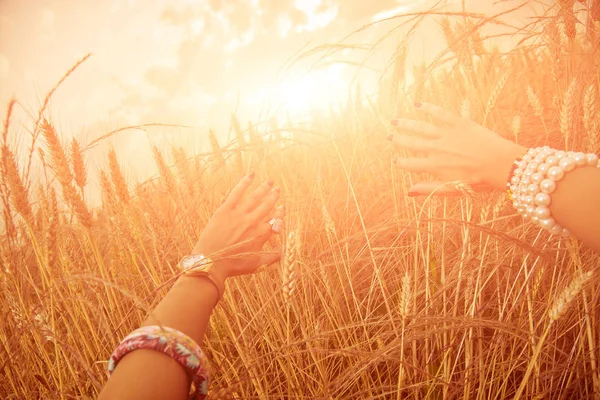 Χέρια νεαρής γυναίκας σε χωράφι με σιτάρι. — Φωτογραφία Αρχείου
