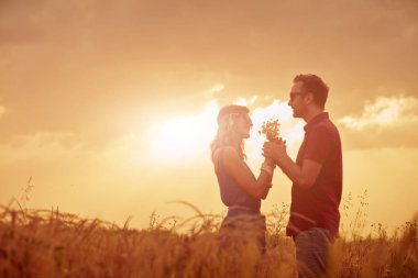 Bir buğday alanında günbatımı/gündoğumu zaman çift.