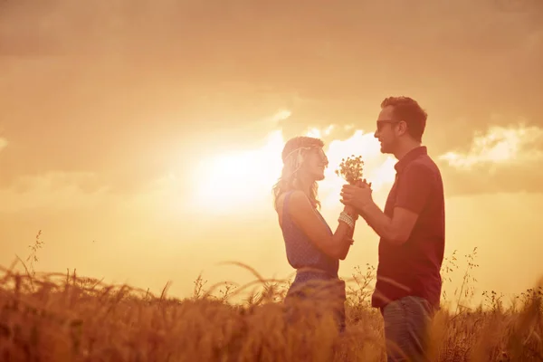 Pasangan di sunset / sunrise time in a wheat field . — Stok Foto