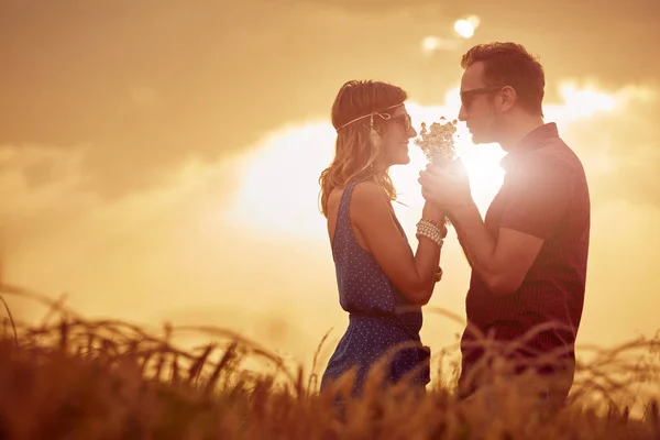 Pareja en la puesta del sol / salida del sol en un campo de trigo . —  Fotos de Stock