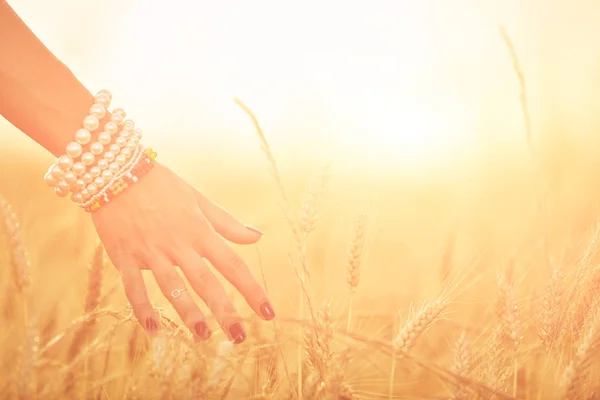 Ragazza godendo in un grano d'oro - campo nell'estate. Ottica f — Foto Stock