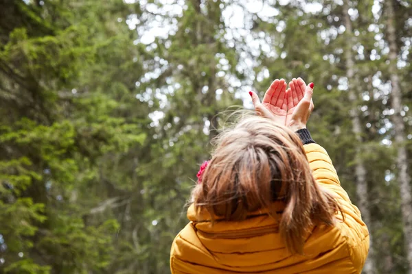 Frau Mit Betenden Händen Genießt Gute Stimmung Der Natur — Stockfoto