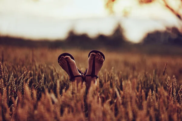Ноги Жінки Джинсовими Босоніжками Пшеничному Полі — стокове фото