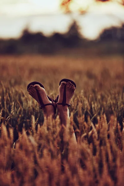 Woman Feet Genie Sandals Wheat Field — Stock Photo, Image