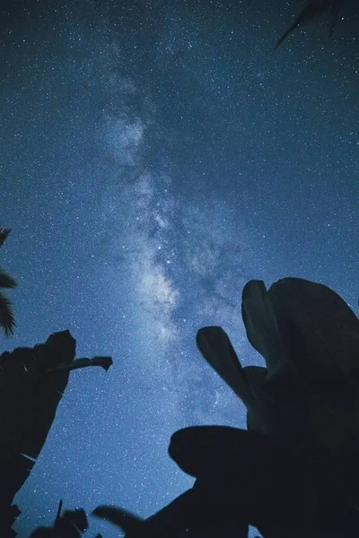 Звезды Млечного Пути Сфотографированы Большой Экспозицией Широкоугольным Объективом Моя Астрономическая — стоковое фото