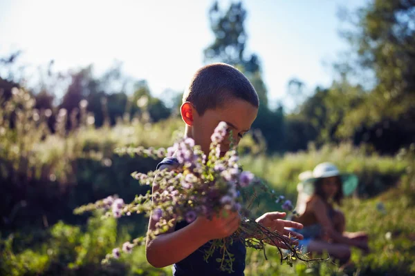 Kinder Pflücken Blumen Auf Einer Vorstadt Wiese — Stockfoto