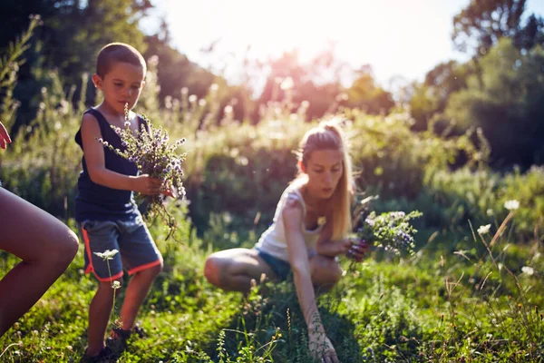 Mãe Com Criança Colhendo Flores Campo Rural Natureza — Fotografia de Stock