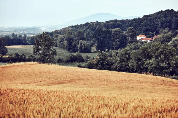 Paisagem Terreno Aldeia Rural Sérvia Balcãs Europa — Fotografia de Stock