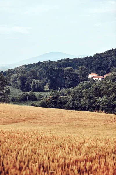 Paisagem Terreno Aldeia Rural Sérvia Balcãs Europa — Fotografia de Stock