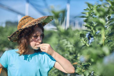 Aile çiftliğinde böğürtlen dolu bir kutuyla küçük bir kız, iş konsepti, yaz işi ve genç yaştan itibaren sorumluluk almak..