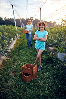 Annesi olan küçük bir kız ve aile çiftliğinde bir kutu yaban mersini, iş konsepti, yaz işi ve genç yaştan itibaren sorumluluk almak..
