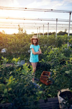 Aile çiftliğinde böğürtlen dolu bir kutuyla küçük bir kız, iş konsepti, yaz işi ve genç yaştan itibaren sorumluluk almak..