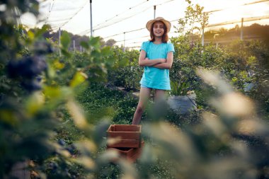 Aile çiftliğinde böğürtlen dolu bir kutuyla küçük bir kız, iş konsepti, yaz işi ve genç yaştan itibaren sorumluluk almak..
