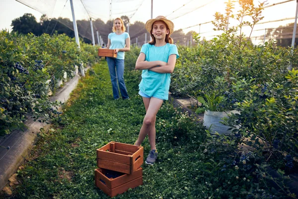 Aile çiftliğinde böğürtlen dolu bir kutuyla küçük bir kız, iş konsepti, yaz işi ve genç yaştan itibaren sorumluluk almak..