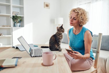 Evde dizüstü bilgisayar / defter üzerinde kedisiyle birlikte çalışan bir kadın..