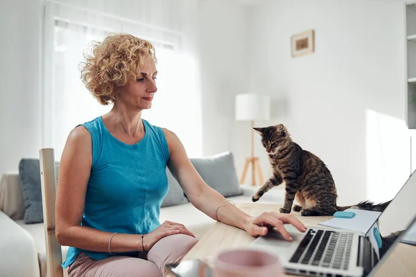 Жінка Працює Дому Ноутбуці Блокноті Кішкою Нею — стокове фото