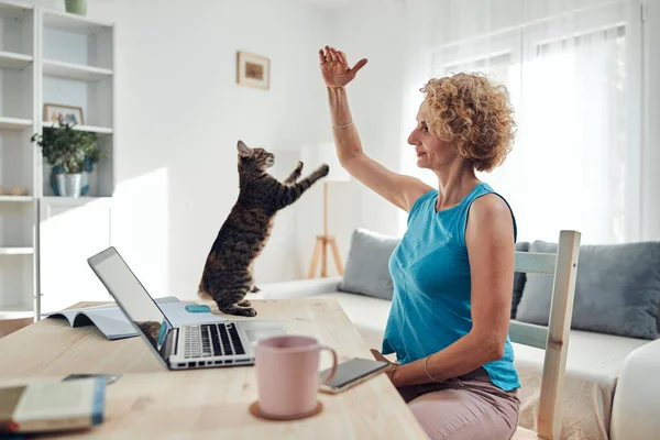 带着宠物猫从家里带着笔记本电脑 笔记本工作的女人 — 图库照片