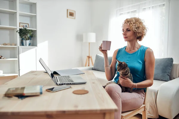 Mujer Trabajando Desde Casa Portátil Portátil Con Gato Mascota Con — Foto de Stock