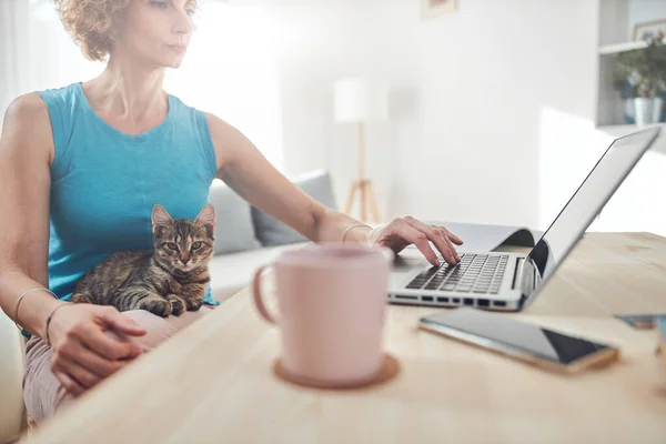 Mujer Trabajando Desde Casa Portátil Portátil Con Gato Mascota Con —  Fotos de Stock