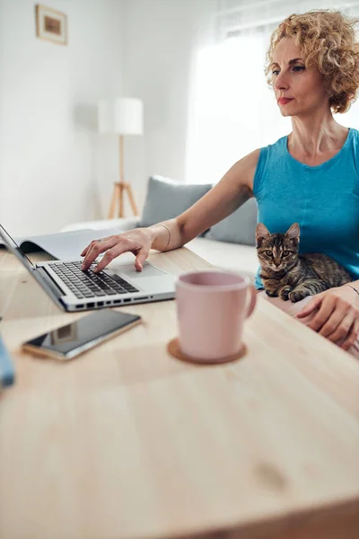 집에서 일하는 여자가 고양이 동물과 노트북과 노트북을 가지고 — 스톡 사진