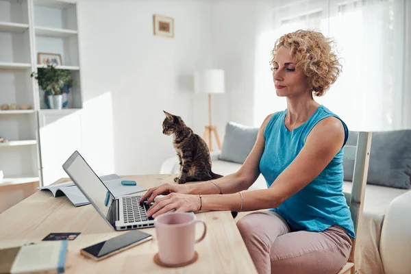 带着宠物猫从家里带着笔记本电脑 笔记本工作的女人 — 图库照片