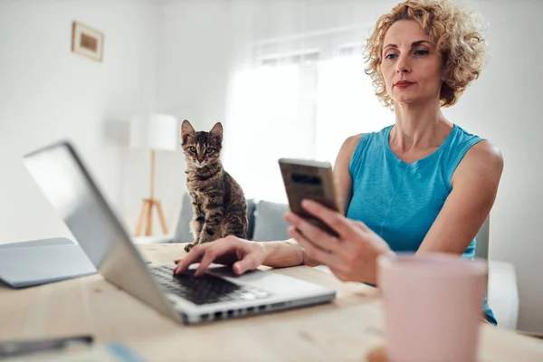 집에서 일하는 여자가 고양이 동물과 노트북과 노트북을 가지고 — 스톡 사진