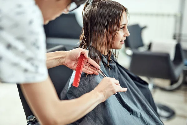 Peluquería Corte Pelo Salón —  Fotos de Stock