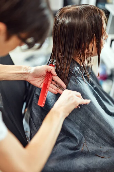 Peluquería Corte Pelo Salón —  Fotos de Stock