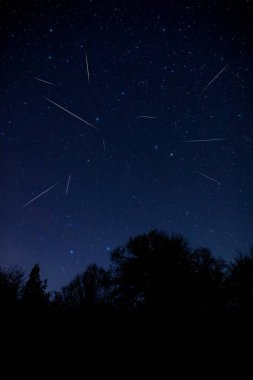 Samanyolu yıldızları ve kırsal ağaç siluetleri