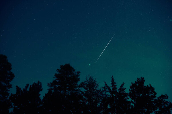Milky Way stars and rural countryside tree silhouettes.
