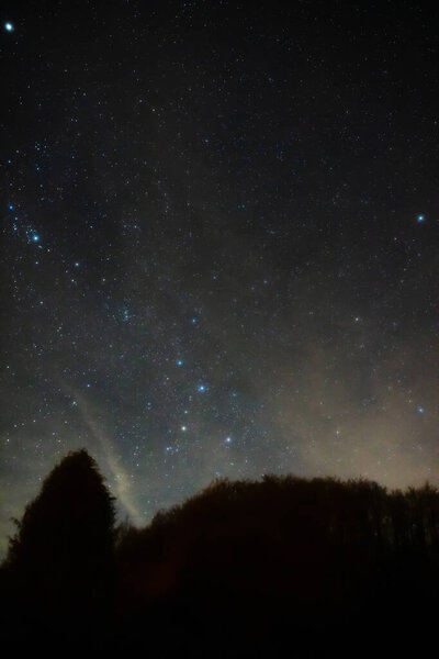 Milky Way stars and rural countryside tree silhouettes.