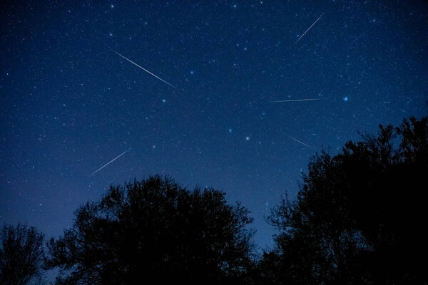 Milky Way stars and rural countryside tree silhouettes