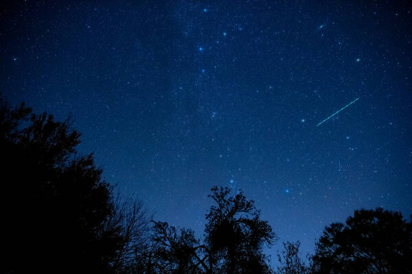 Milky Way stars and rural countryside tree silhouettes