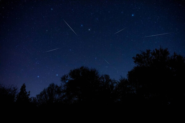 Milky Way stars and rural countryside tree silhouettes