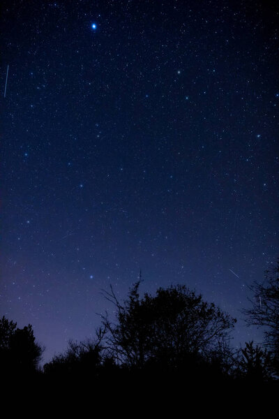 Milky Way stars and rural countryside tree silhouettes
