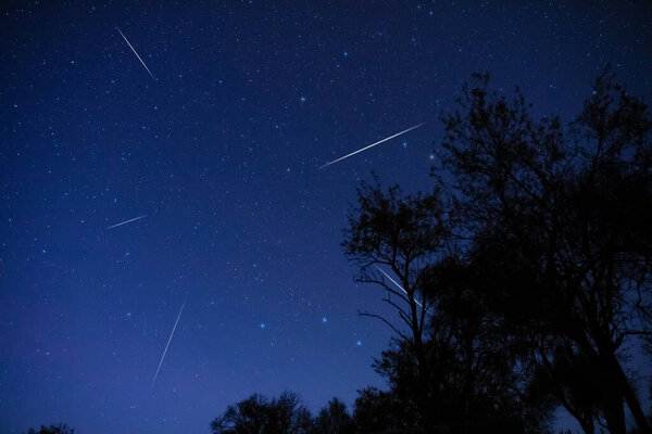 Milky Way stars and rural countryside tree silhouettes