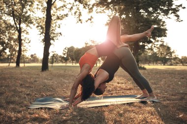 Sıcak ve güneşli bir yaz gününde iki kadın parkta yoga yapıyor ve esneme hareketleri yapıyor..