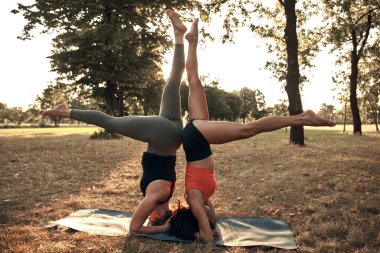 Sıcak ve güneşli bir yaz gününde iki kadın parkta yoga yapıyor ve esneme hareketleri yapıyor..