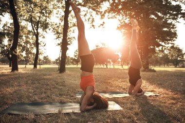 Sıcak ve güneşli bir yaz gününde iki kadın parkta yoga yapıyor ve esneme hareketleri yapıyor..