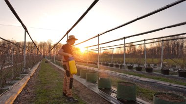 Yabanmersini organik çiftliğinde çalışan erkek bahçıvan..
