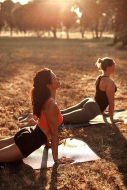 Sıcak ve güneşli bir yaz gününde iki kadın parkta yoga yapıyor ve esneme hareketleri yapıyor..